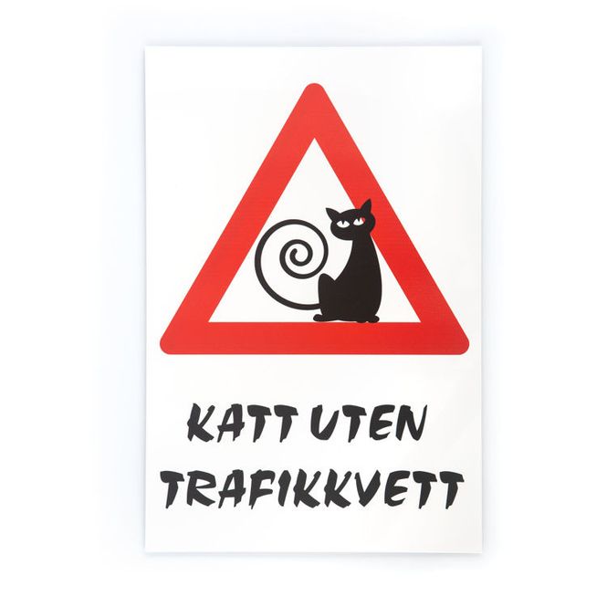 Hovedbilde Katt uten trafikkvett skilt