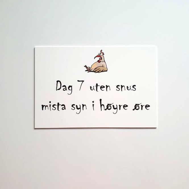 Hovedbilde 7. dag uten snus